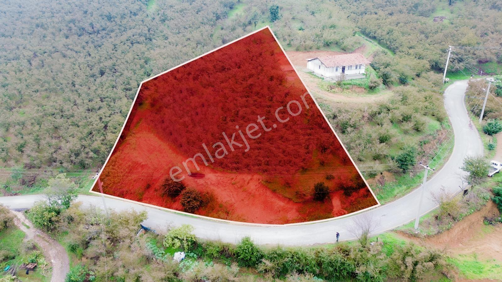 Emlak Evim - Sakarya Dereköy De 2.215 M2 Arsa