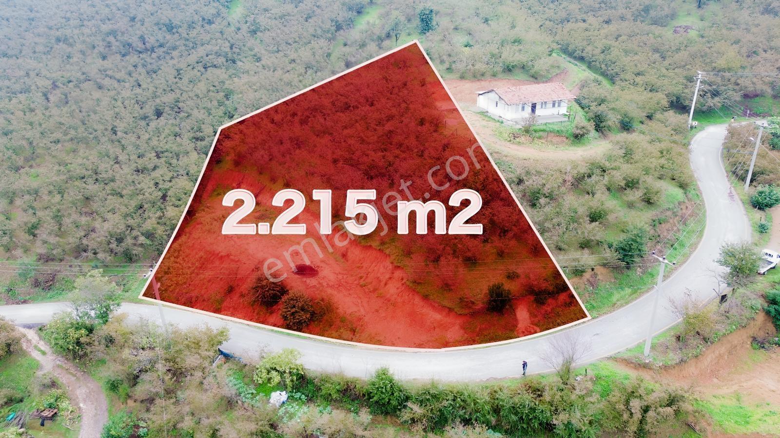 Emlak Evim - Sakarya Dereköy De 2.215 M2 Arsa — fotoğraf 2