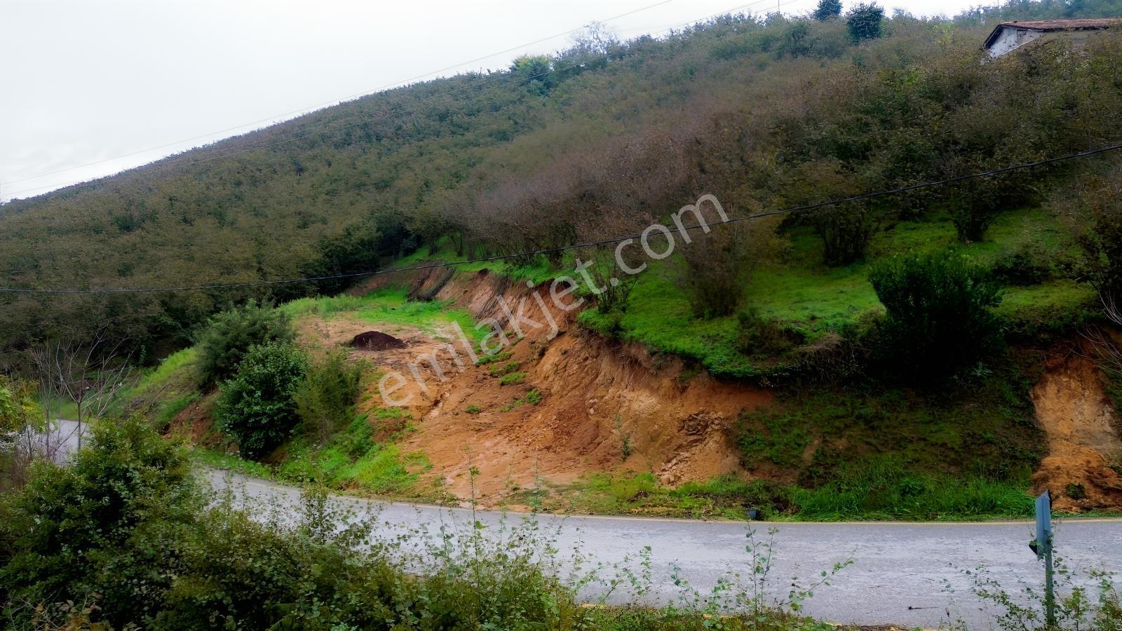 Emlak Evim - Sakarya Dereköy De 2.215 M2 Arsa — fotoğraf 3