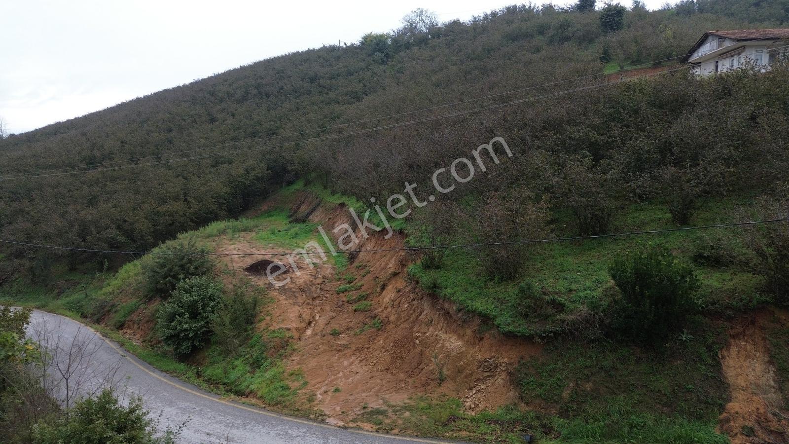Emlak Evim - Sakarya Dereköy De 2.215 M2 Arsa — fotoğraf 4