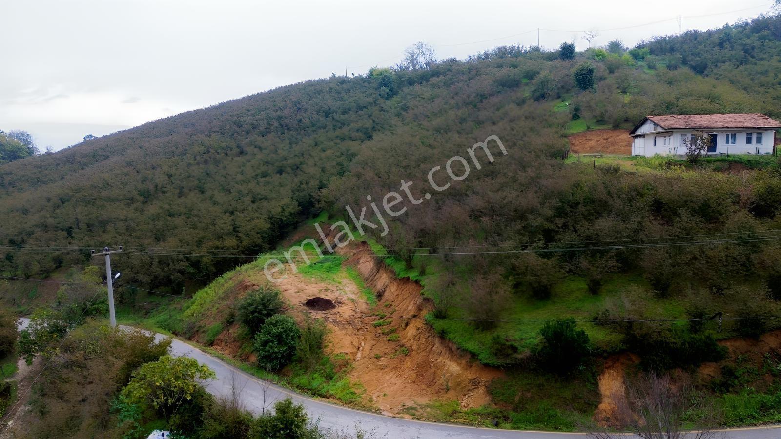 Emlak Evim - Sakarya Dereköy De 2.215 M2 Arsa — fotoğraf 5