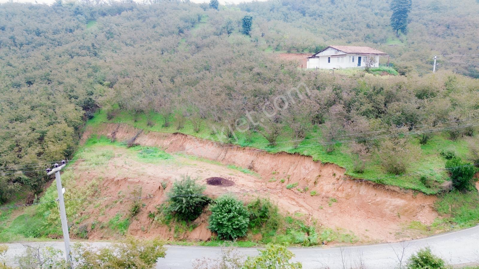 Emlak Evim - Sakarya Dereköy De 2.215 M2 Arsa — fotoğraf 6