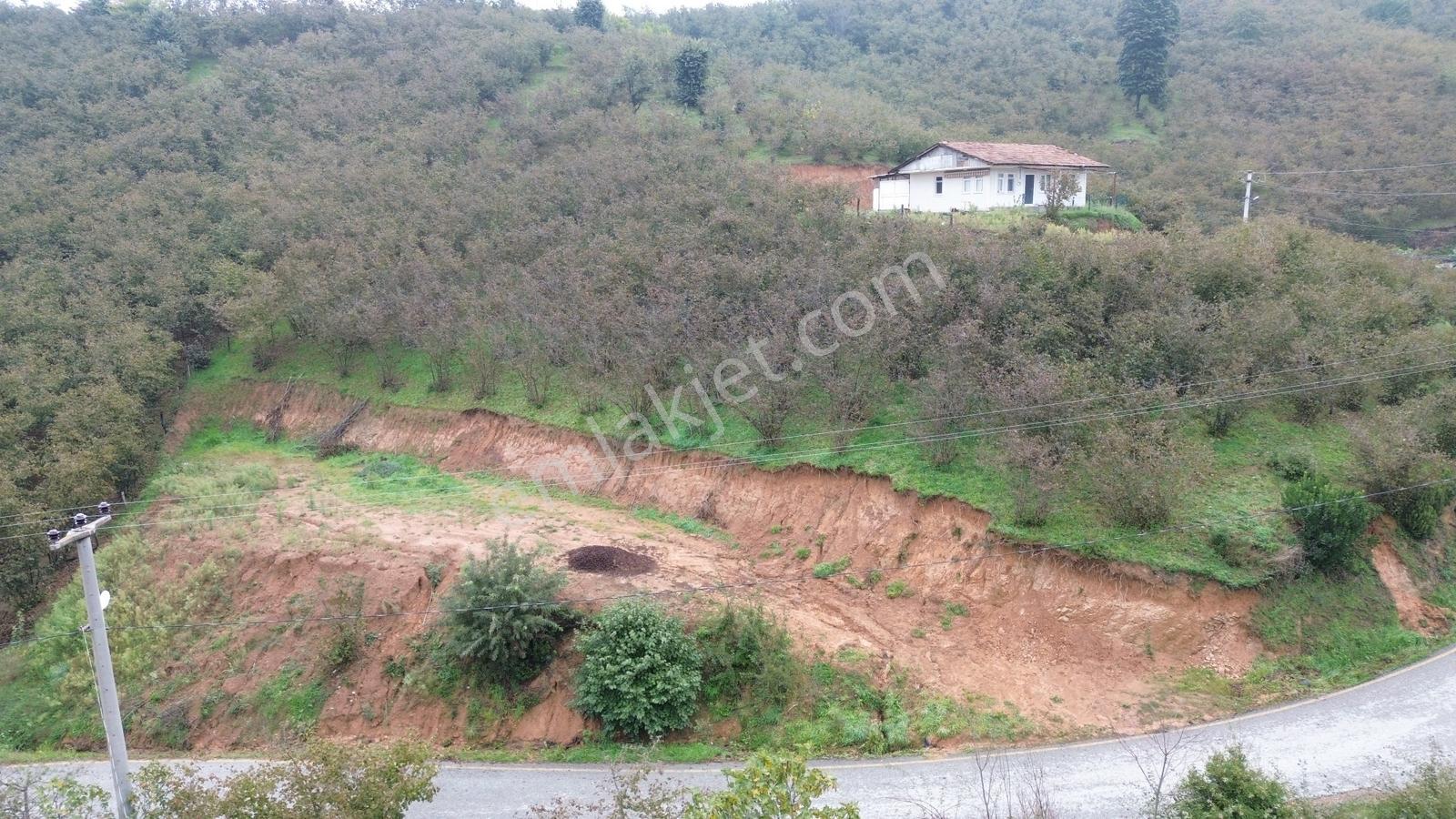 Emlak Evim - Sakarya Dereköy De 2.215 M2 Arsa — fotoğraf 7