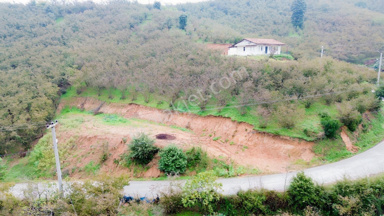 Emlak Evim - Sakarya Dereköy De 2.215 M2 Arsa — fotoğraf 8