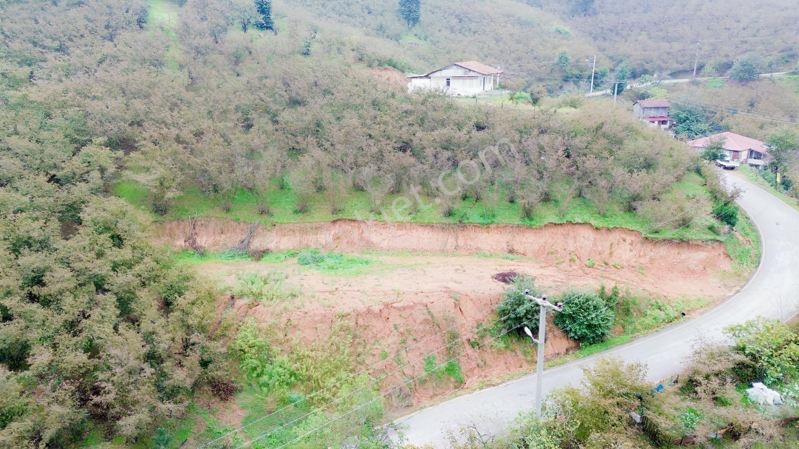 Emlak Evim - Sakarya Dereköy De 2.215 M2 Arsa — fotoğraf 9