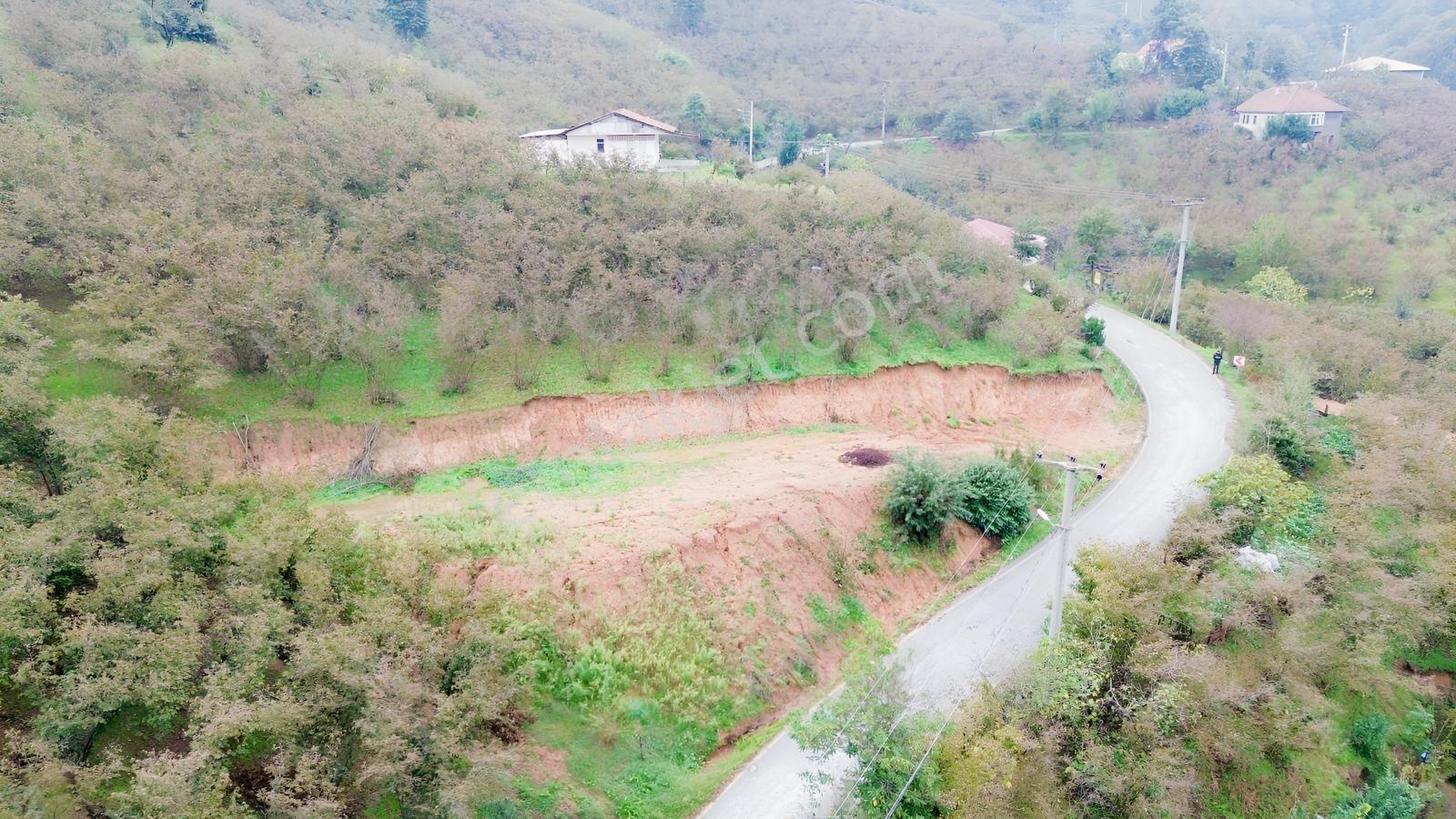 Emlak Evim - Sakarya Dereköy De 2.215 M2 Arsa — fotoğraf 10