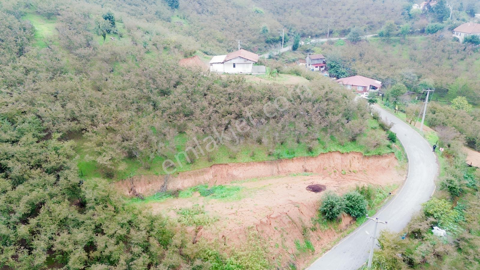 Emlak Evim - Sakarya Dereköy De 2.215 M2 Arsa — fotoğraf 11