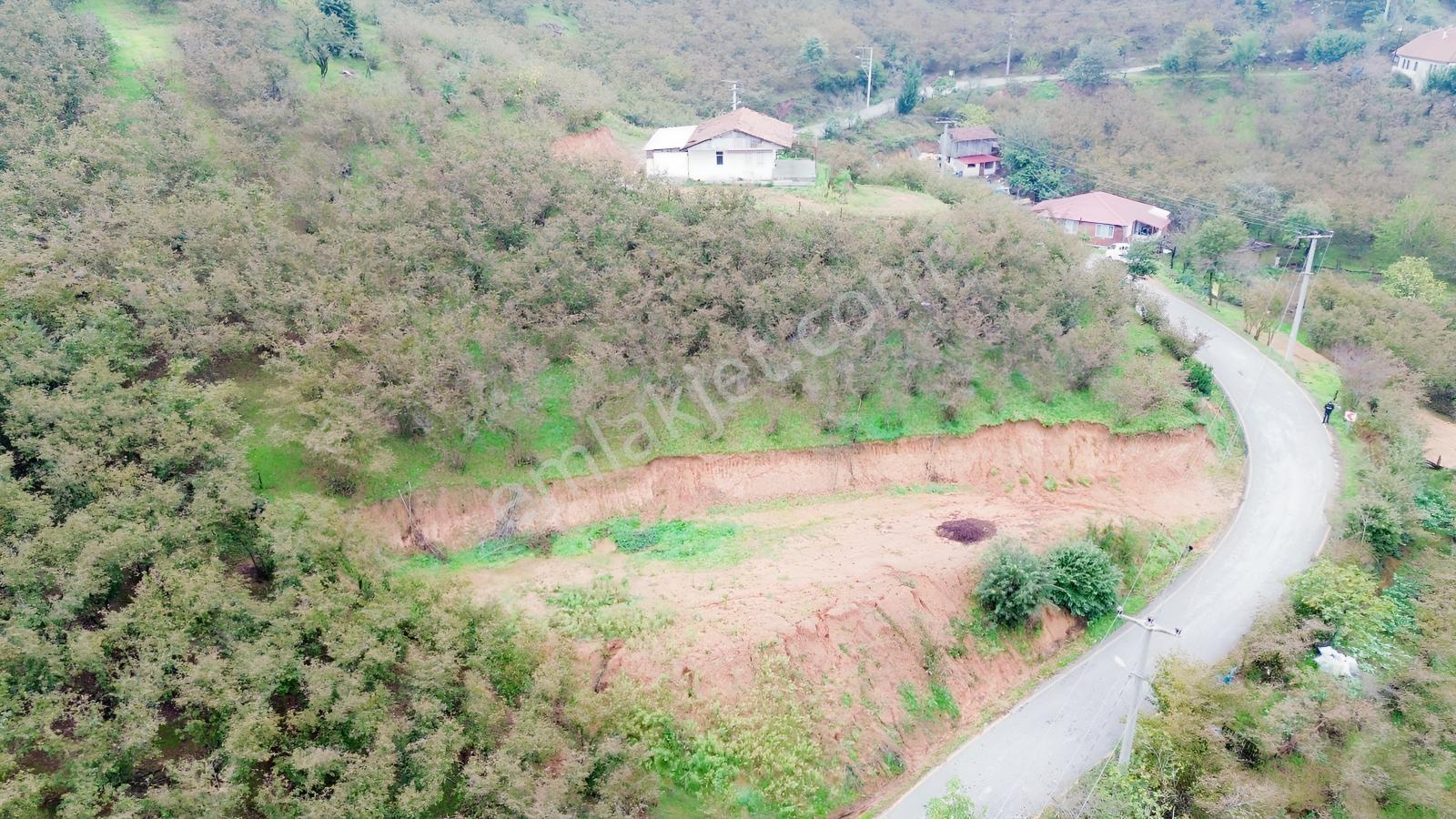 Emlak Evim - Sakarya Dereköy De 2.215 M2 Arsa — fotoğraf 12