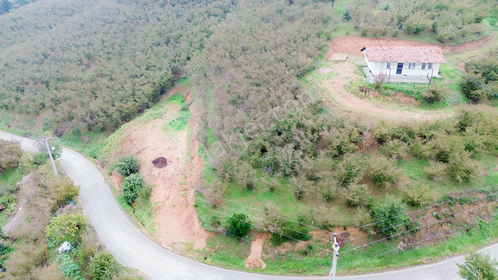 Emlak Evim - Sakarya Dereköy De 2.215 M2 Arsa — fotoğraf 13