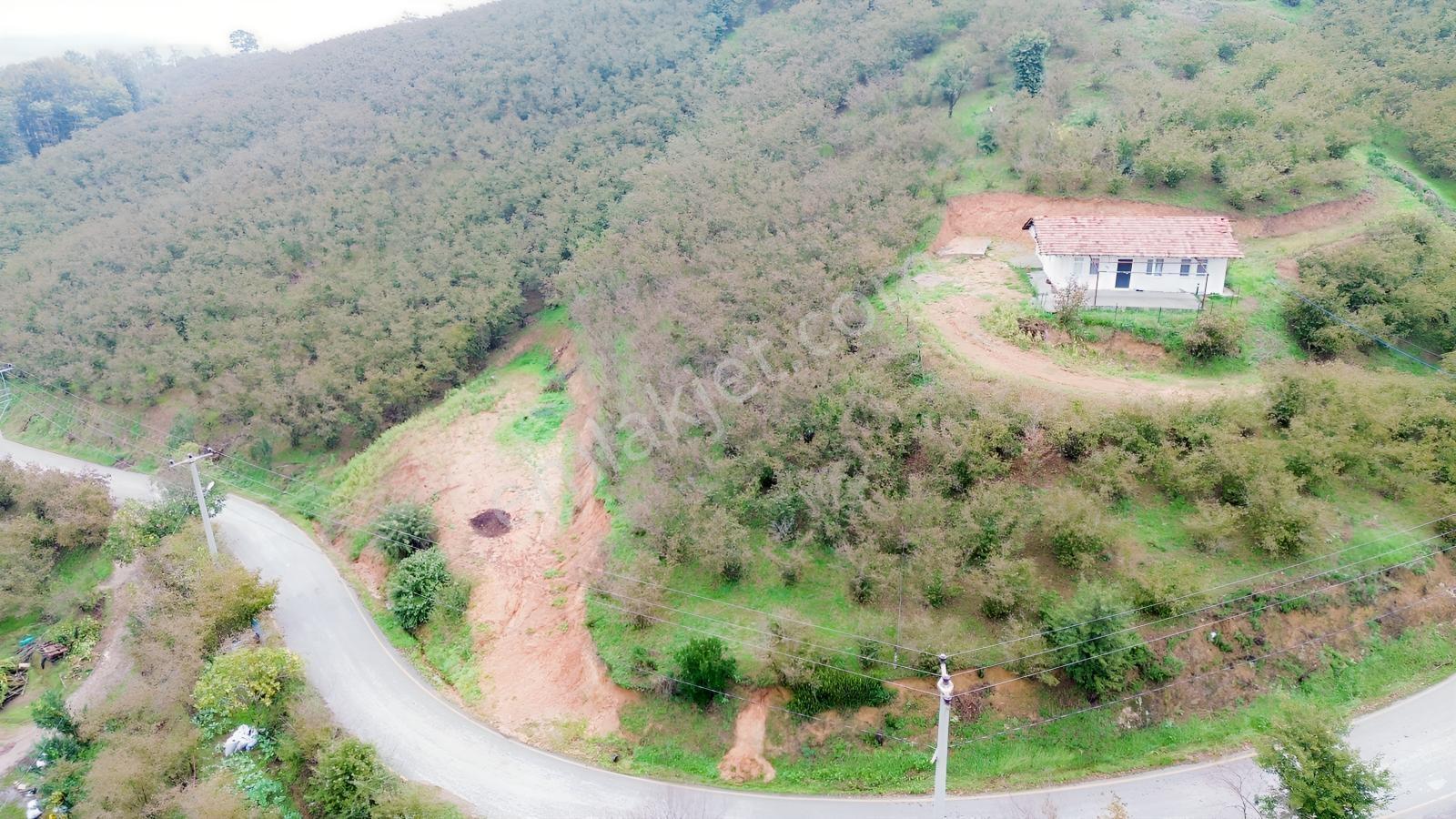 Emlak Evim - Sakarya Dereköy De 2.215 M2 Arsa — fotoğraf 14