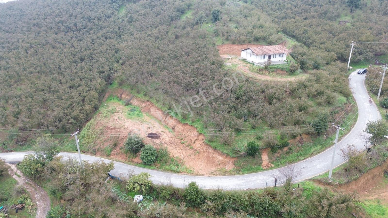 Emlak Evim - Sakarya Dereköy De 2.215 M2 Arsa — fotoğraf 15