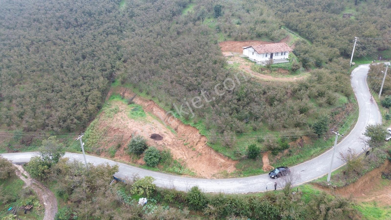 Emlak Evim - Sakarya Dereköy De 2.215 M2 Arsa — fotoğraf 16
