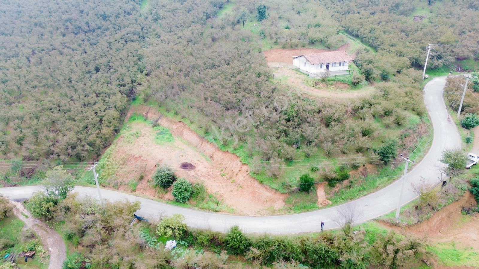Emlak Evim - Sakarya Dereköy De 2.215 M2 Arsa — fotoğraf 17