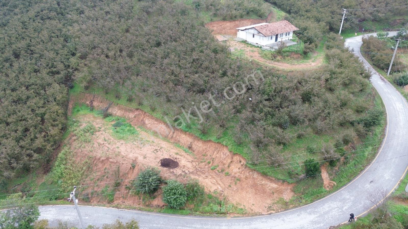 Emlak Evim - Sakarya Dereköy De 2.215 M2 Arsa — fotoğraf 19