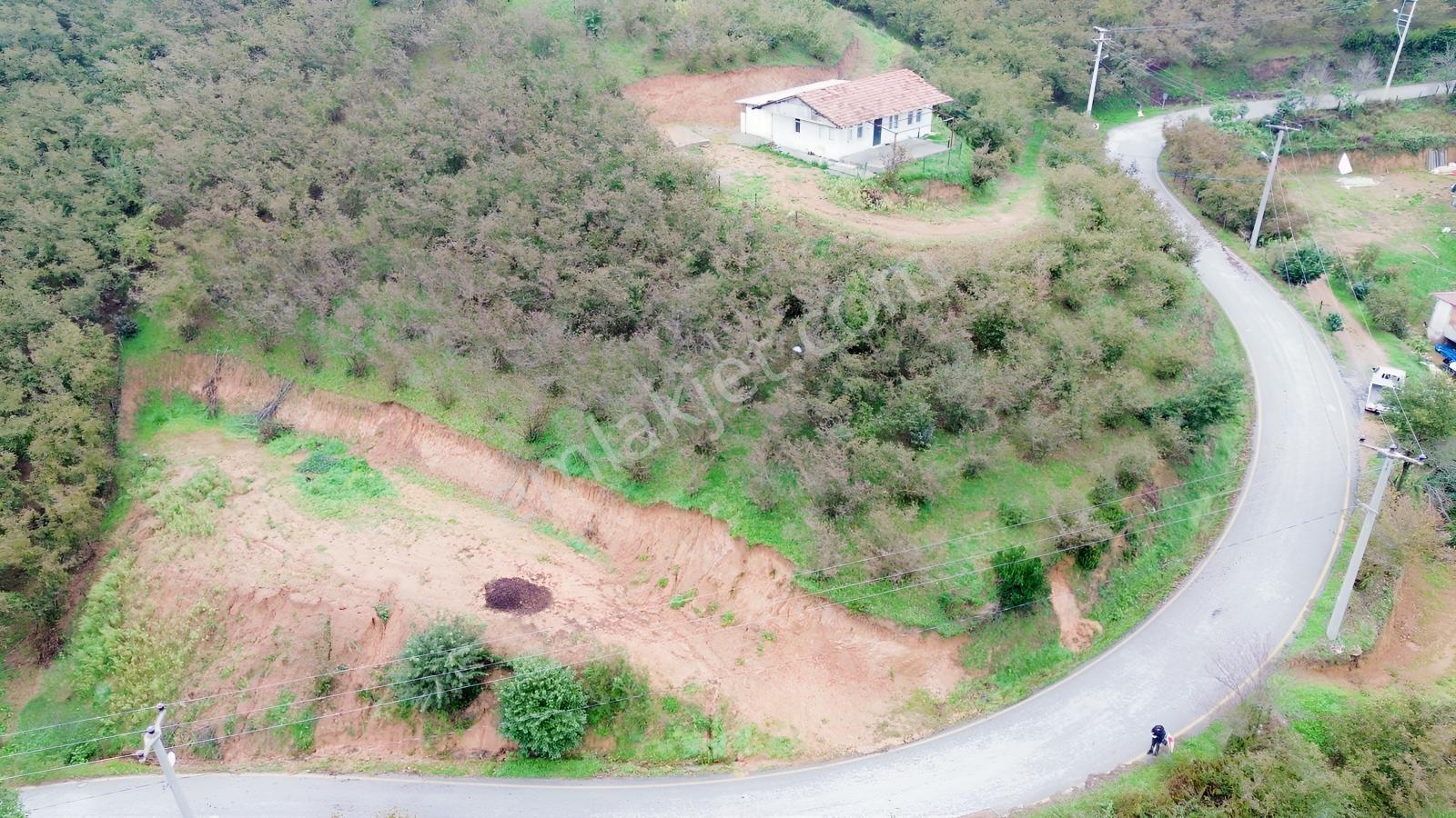 Emlak Evim - Sakarya Dereköy De 2.215 M2 Arsa — fotoğraf 20
