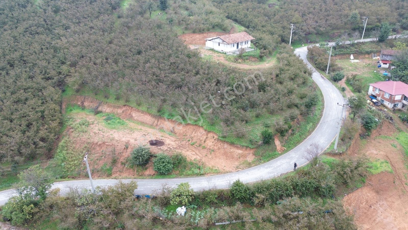Emlak Evim - Sakarya Dereköy De 2.215 M2 Arsa — fotoğraf 21