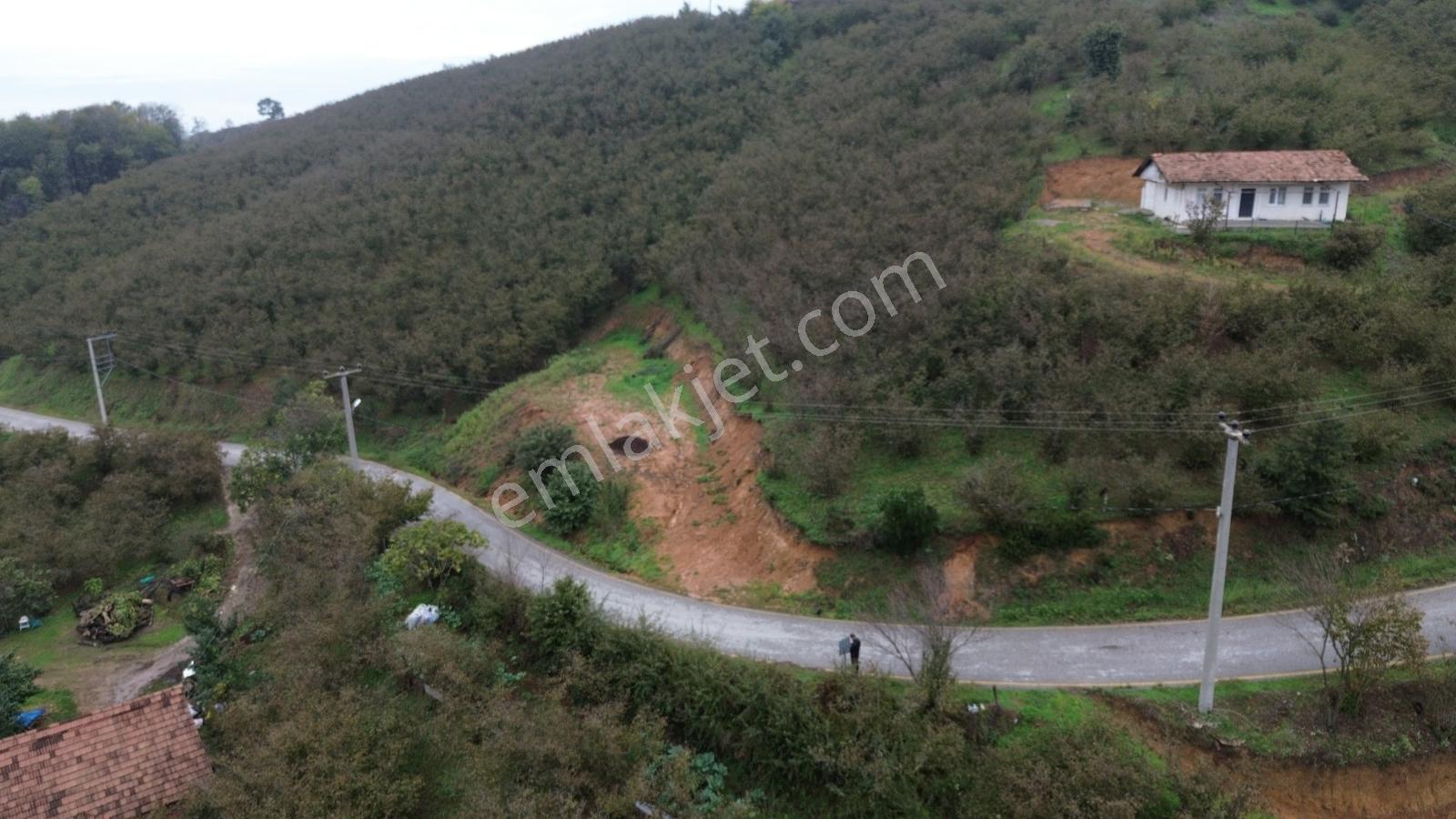 Emlak Evim - Sakarya Dereköy De 2.215 M2 Arsa — fotoğraf 22