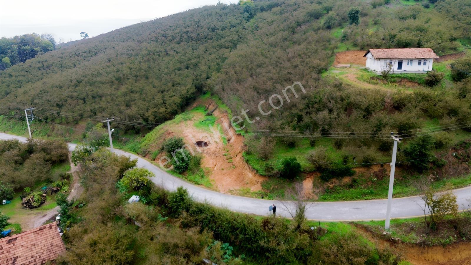 Emlak Evim - Sakarya Dereköy De 2.215 M2 Arsa — fotoğraf 23