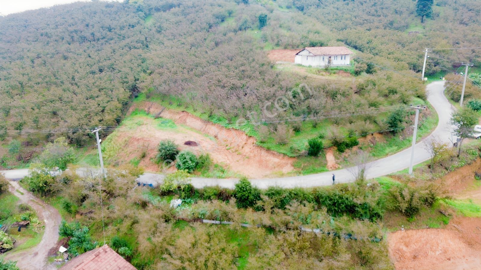 Emlak Evim - Sakarya Dereköy De 2.215 M2 Arsa — fotoğraf 24