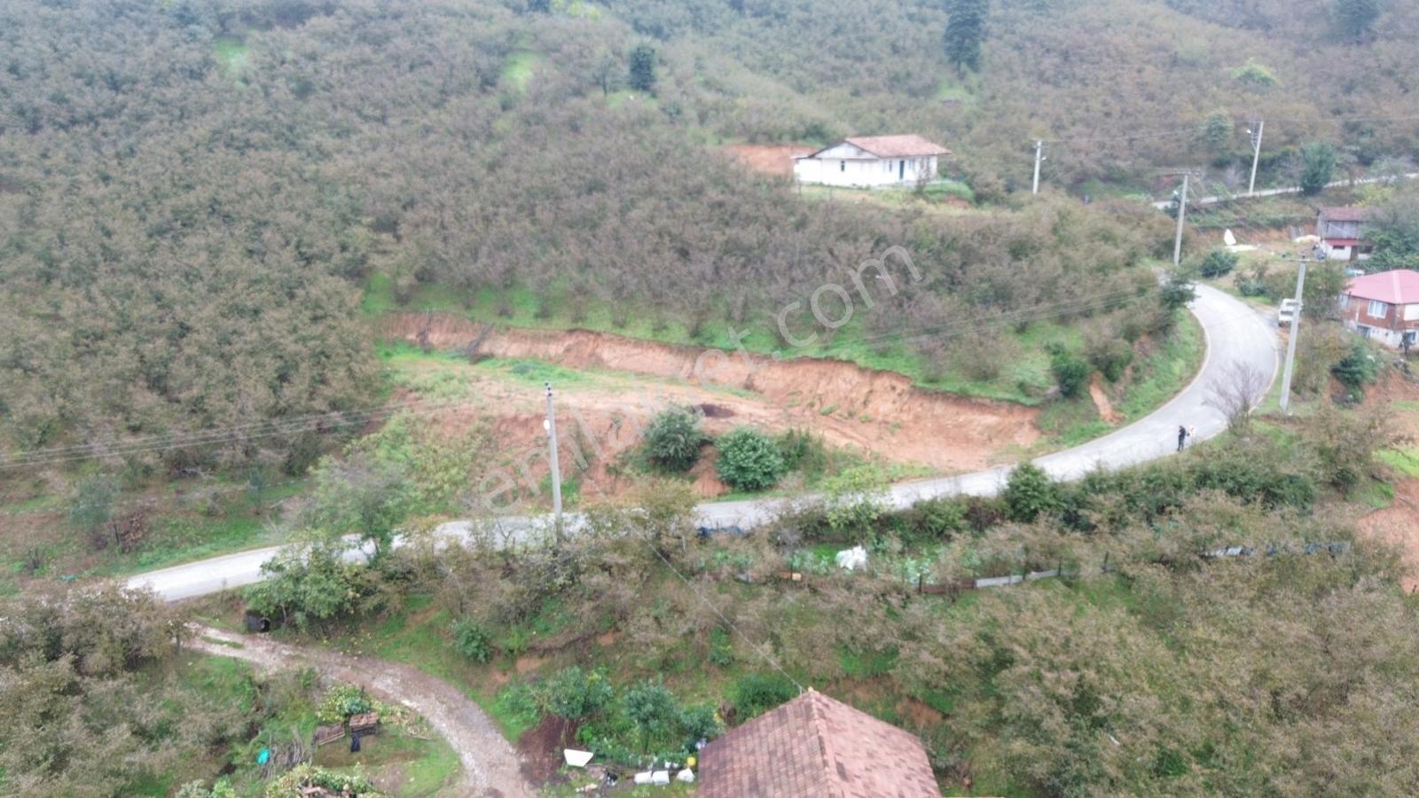Emlak Evim - Sakarya Dereköy De 2.215 M2 Arsa — fotoğraf 25