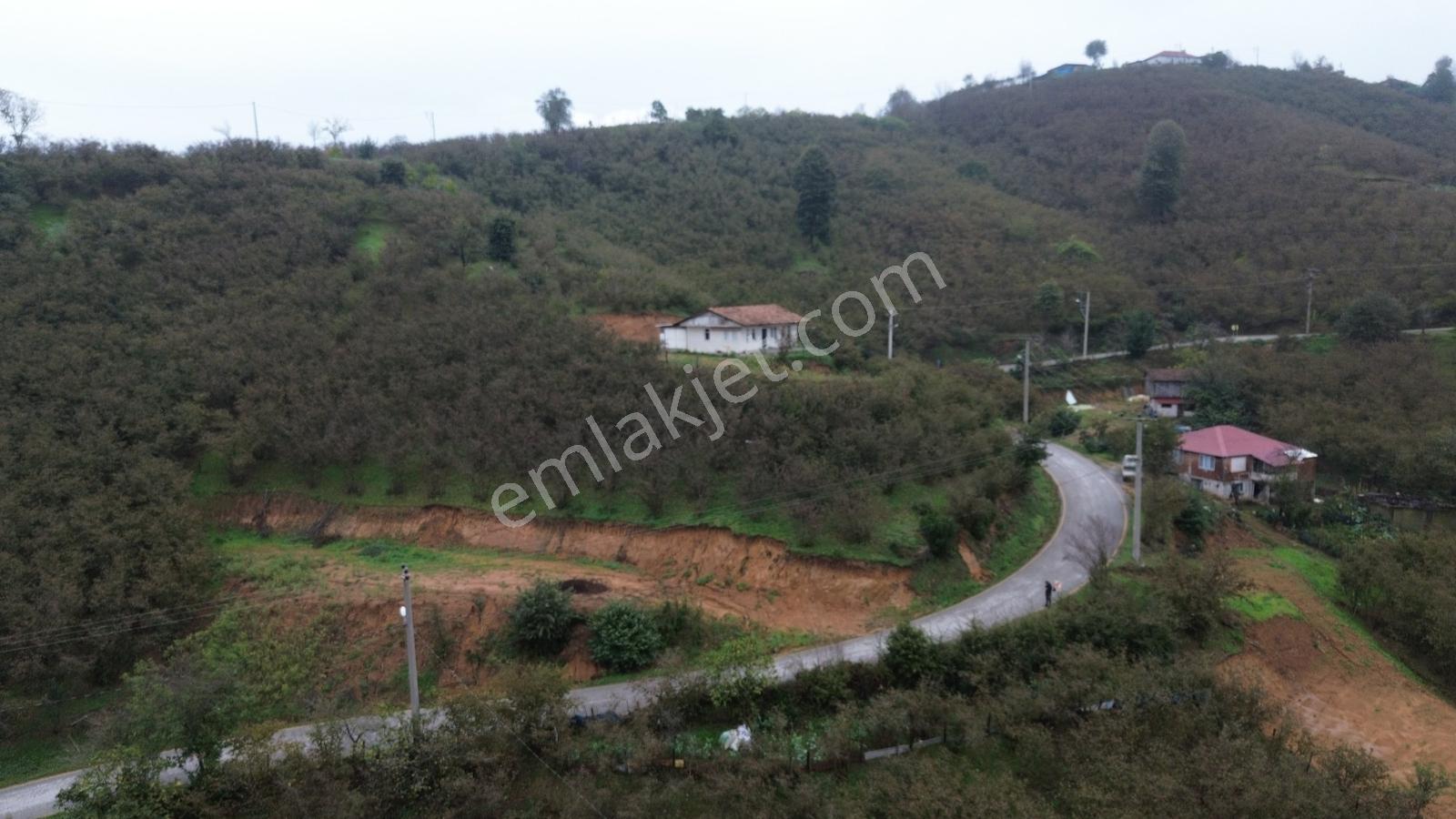 Emlak Evim - Sakarya Dereköy De 2.215 M2 Arsa — fotoğraf 26