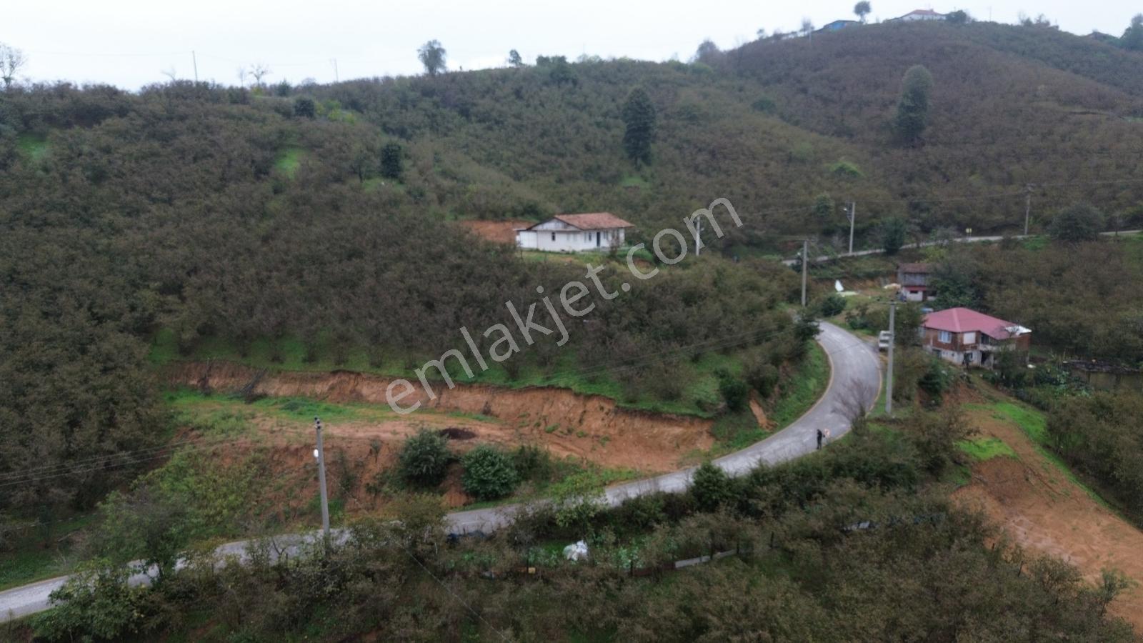 Emlak Evim - Sakarya Dereköy De 2.215 M2 Arsa — fotoğraf 27