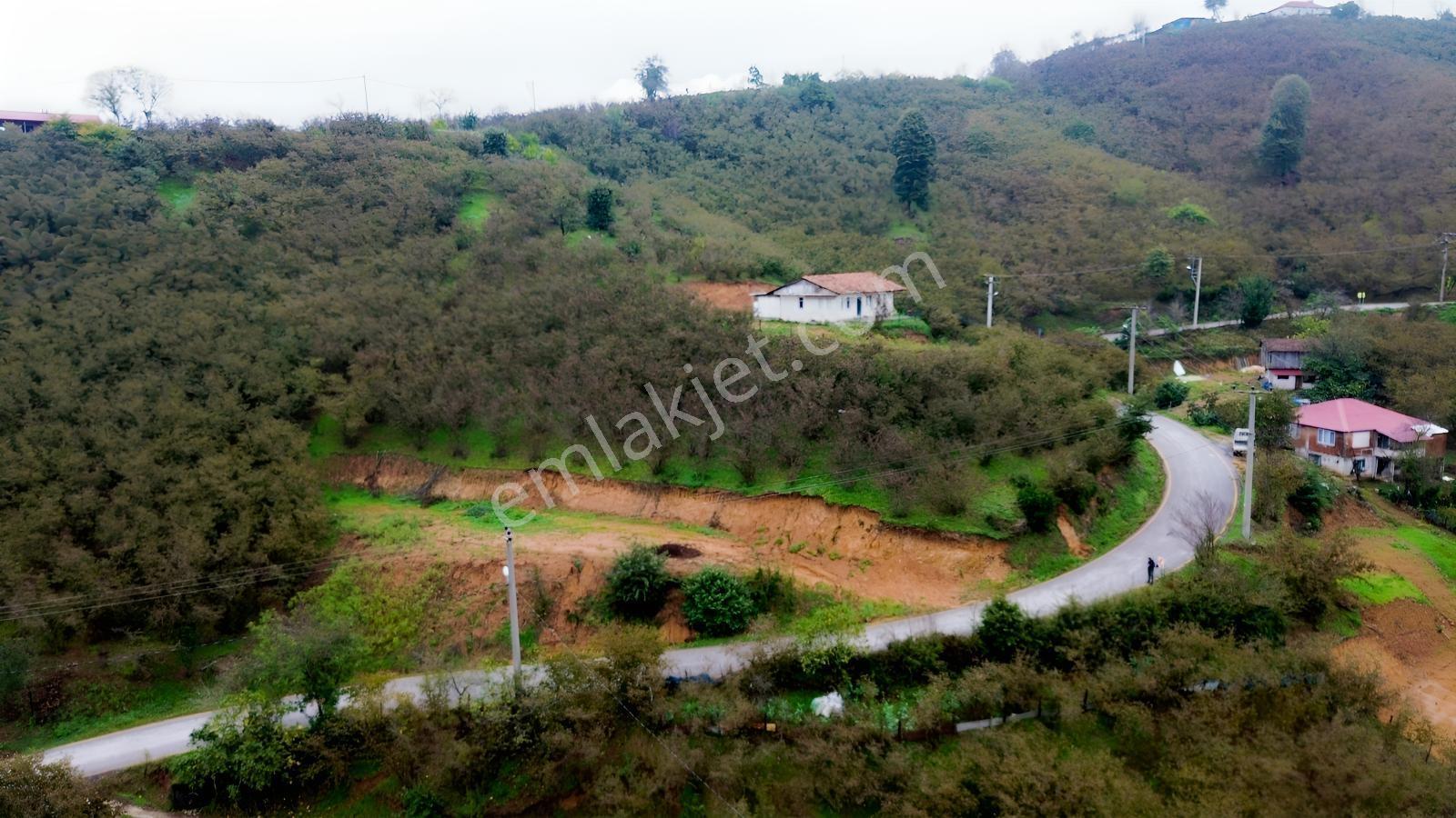 Emlak Evim - Sakarya Dereköy De 2.215 M2 Arsa — fotoğraf 28