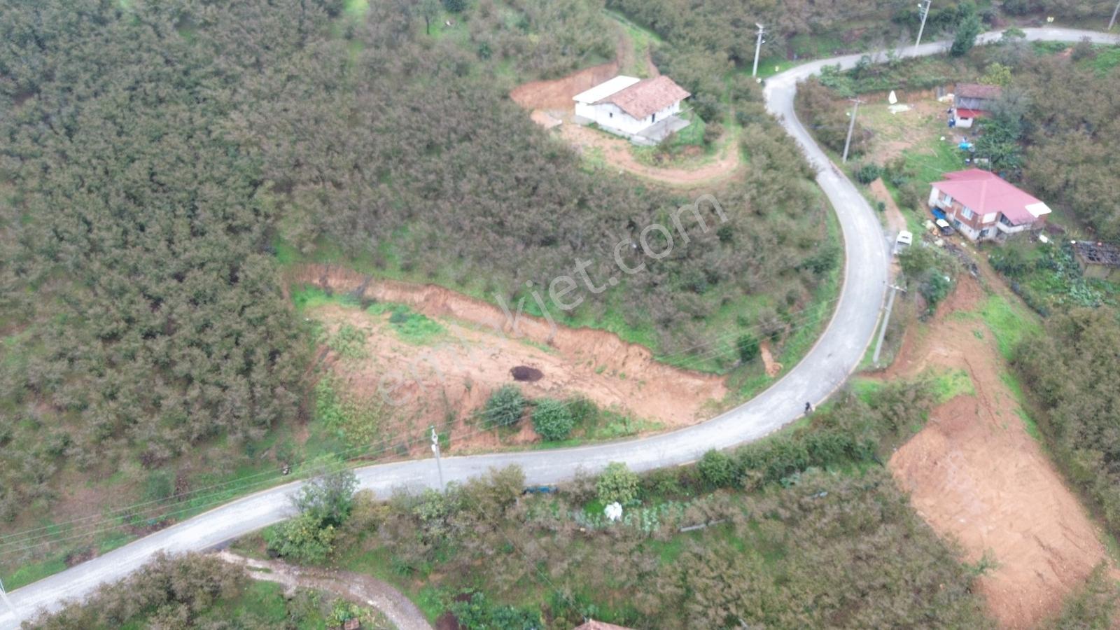 Emlak Evim - Sakarya Dereköy De 2.215 M2 Arsa — fotoğraf 29