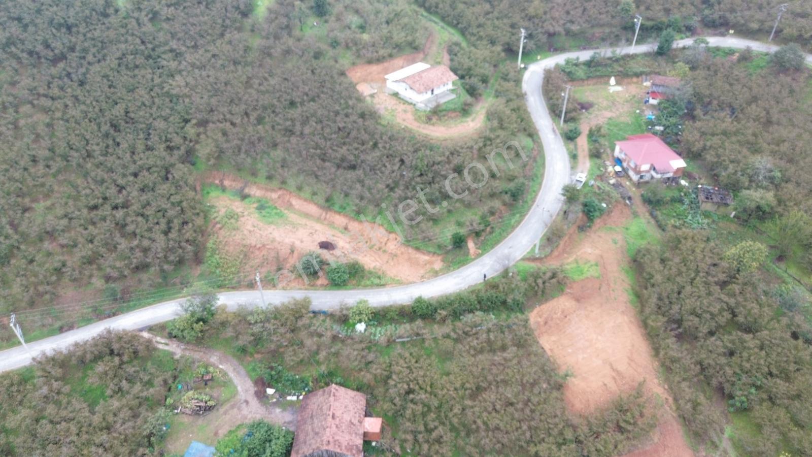 Emlak Evim - Sakarya Dereköy De 2.215 M2 Arsa — fotoğraf 31