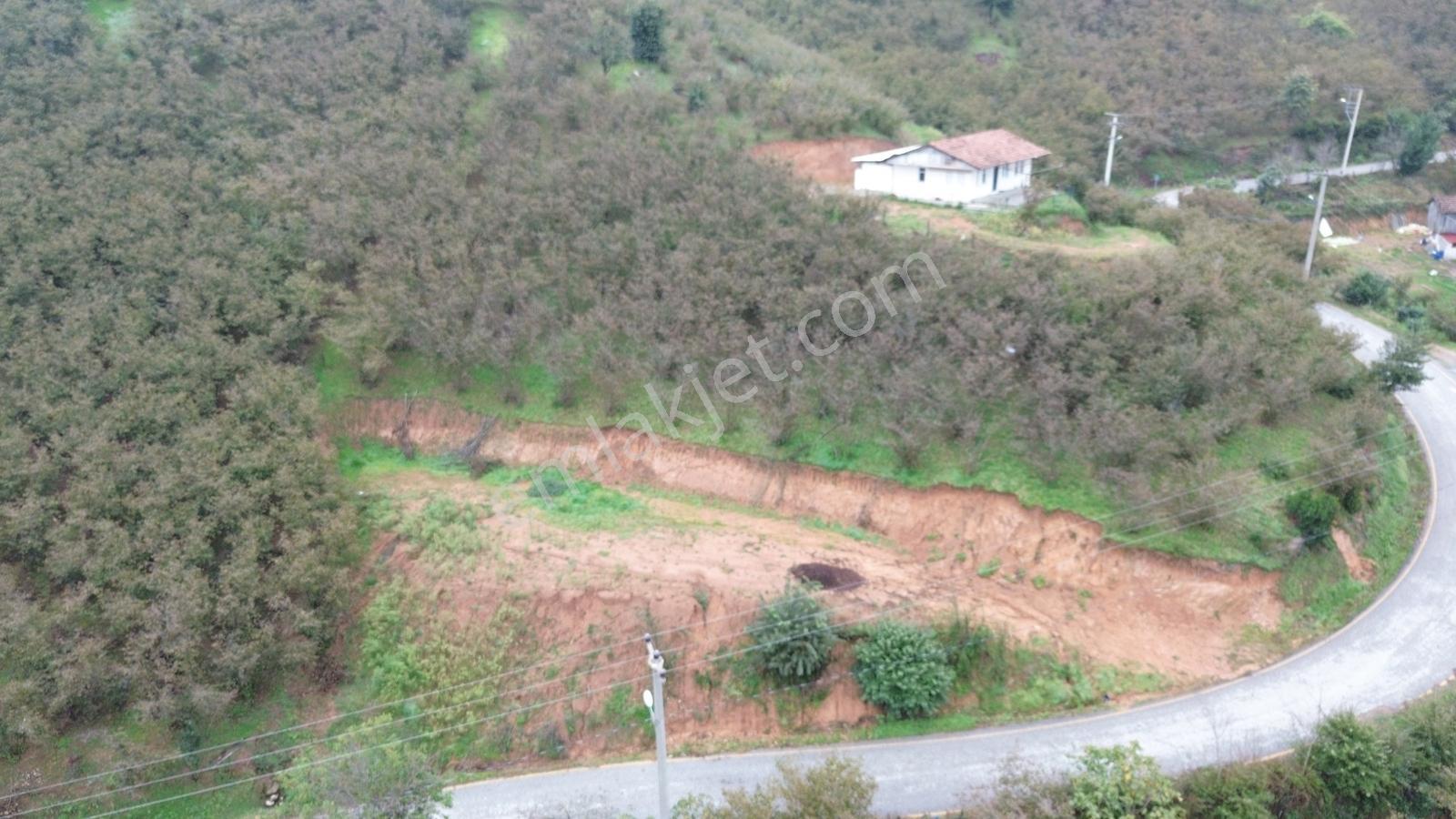 Emlak Evim - Sakarya Dereköy De 2.215 M2 Arsa — fotoğraf 33