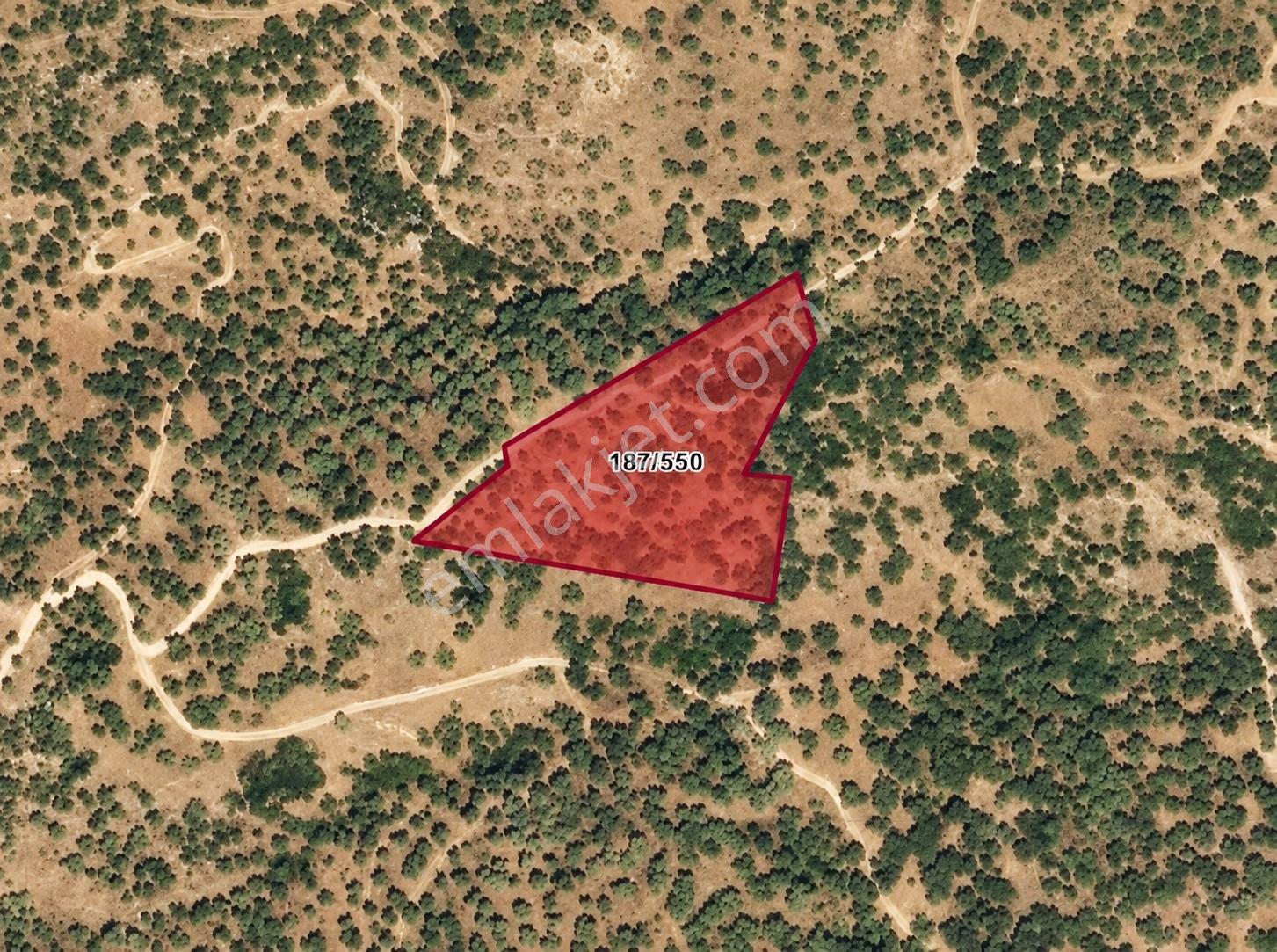 Erz'Den Selçuk Belevide Satılık 5.150 M² Yatırımlık Arazi