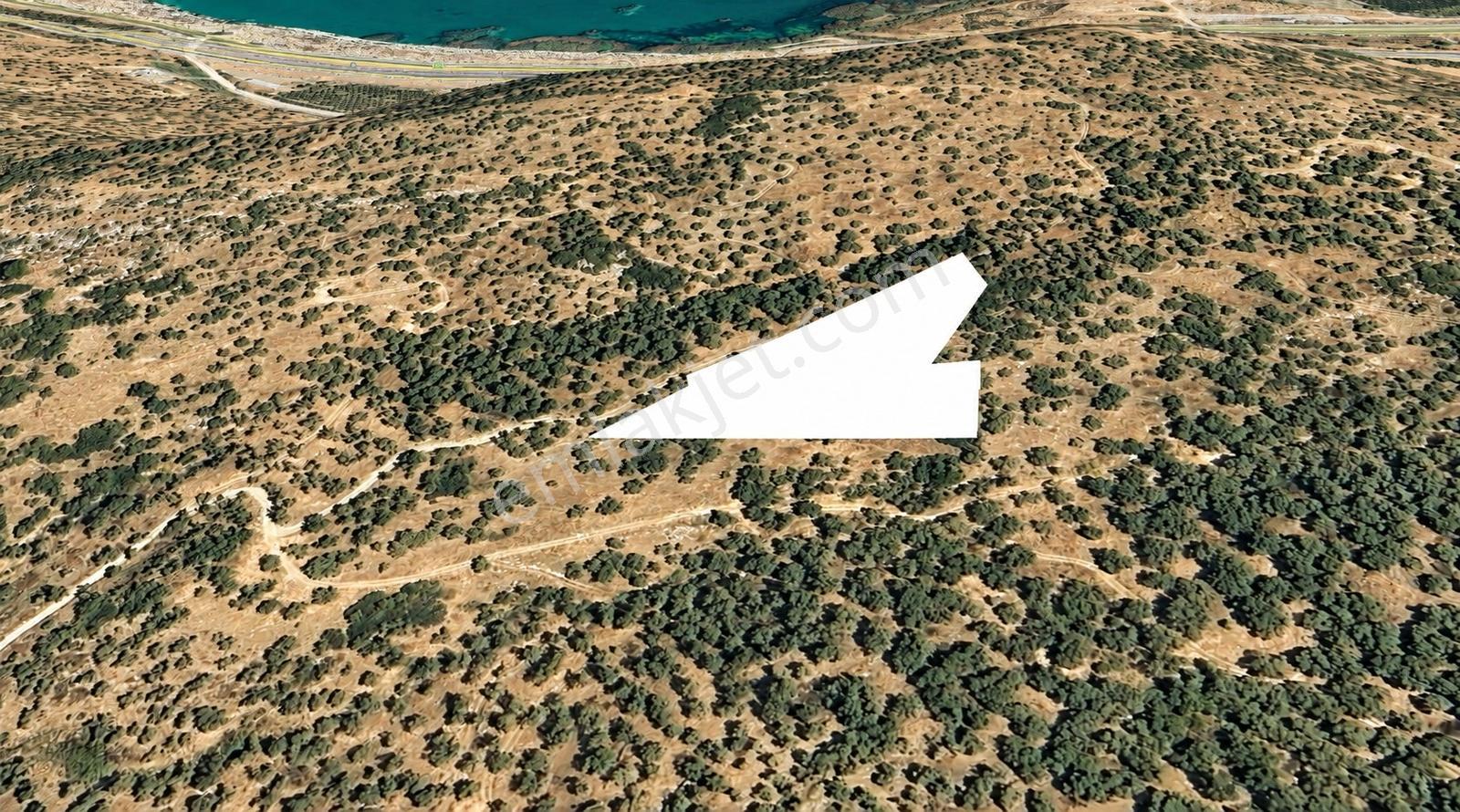Erz'den Selçuk Belevide Satılık 5.150 M² Yatırımlık Arazi — fotoğraf 2
