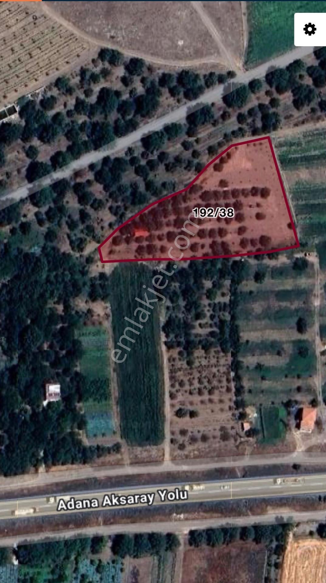 Ulukışla Beyağıl Kiraz Bahçesi Satılık
