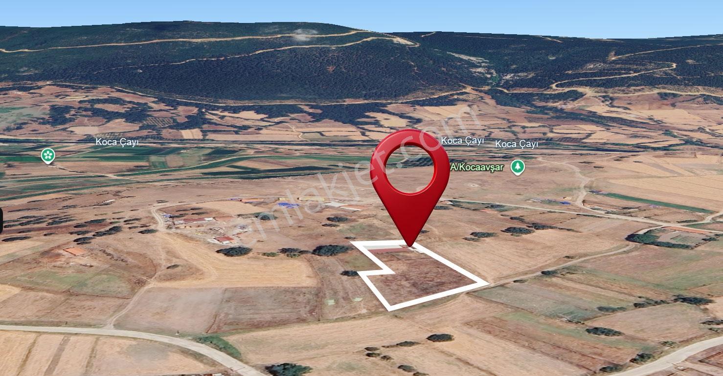 Kocaavşarda Köye 120 M, Damlı 3307 M2 Fırsat Arazi — fotoğraf 5