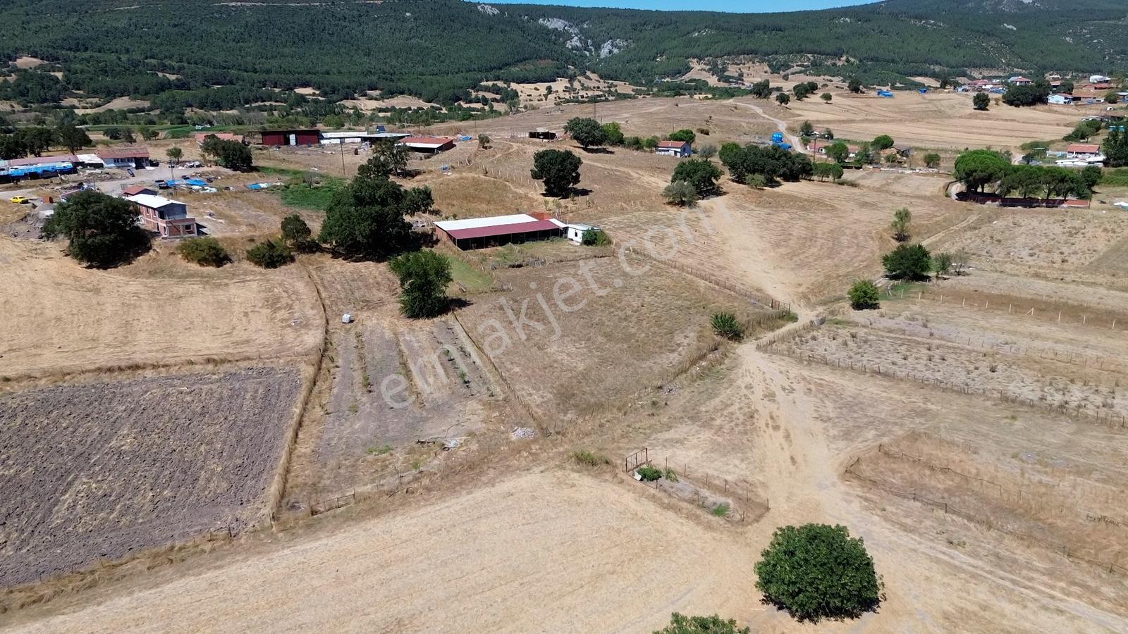Kocaavşarda Köye 120 M, Damlı 3307 M2 Fırsat Arazi — fotoğraf 9