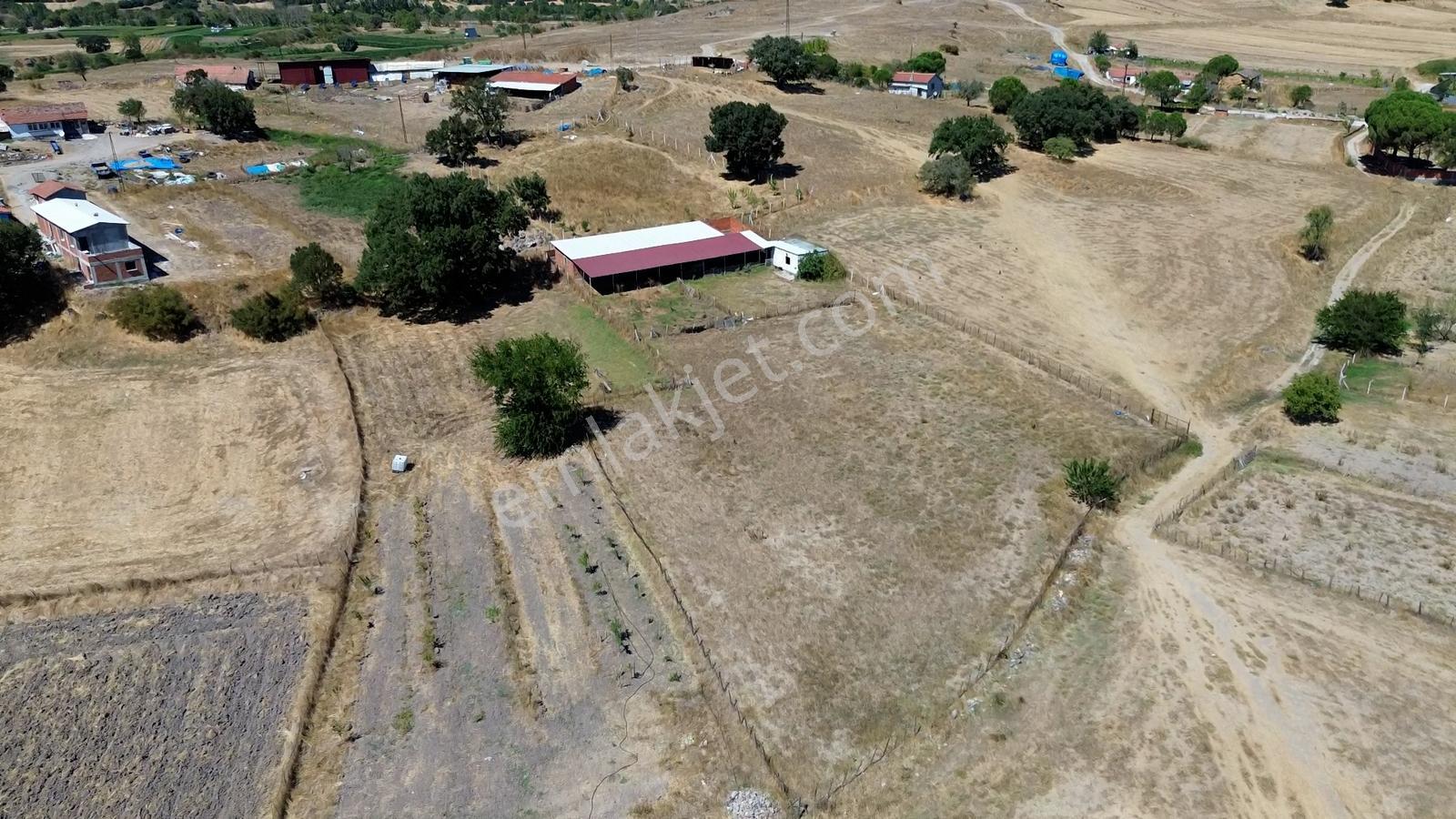 Kocaavşarda Köye 120 M, Damlı 3307 M2 Fırsat Arazi — fotoğraf 10