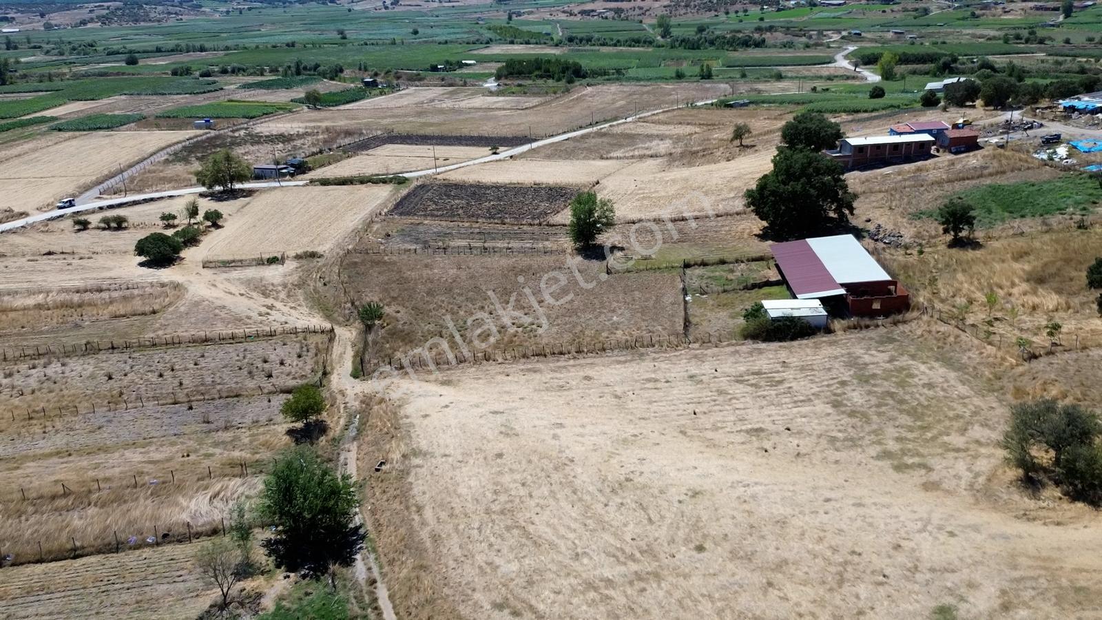 Kocaavşarda Köye 120 M, Damlı 3307 M2 Fırsat Arazi — fotoğraf 13