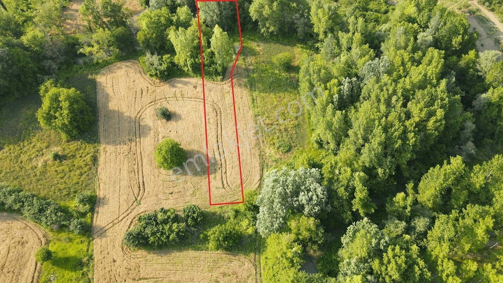 Gölpazarı'Da Geyve Göynük Deresine Sınır 992 M2 Yatırımlık Tarla