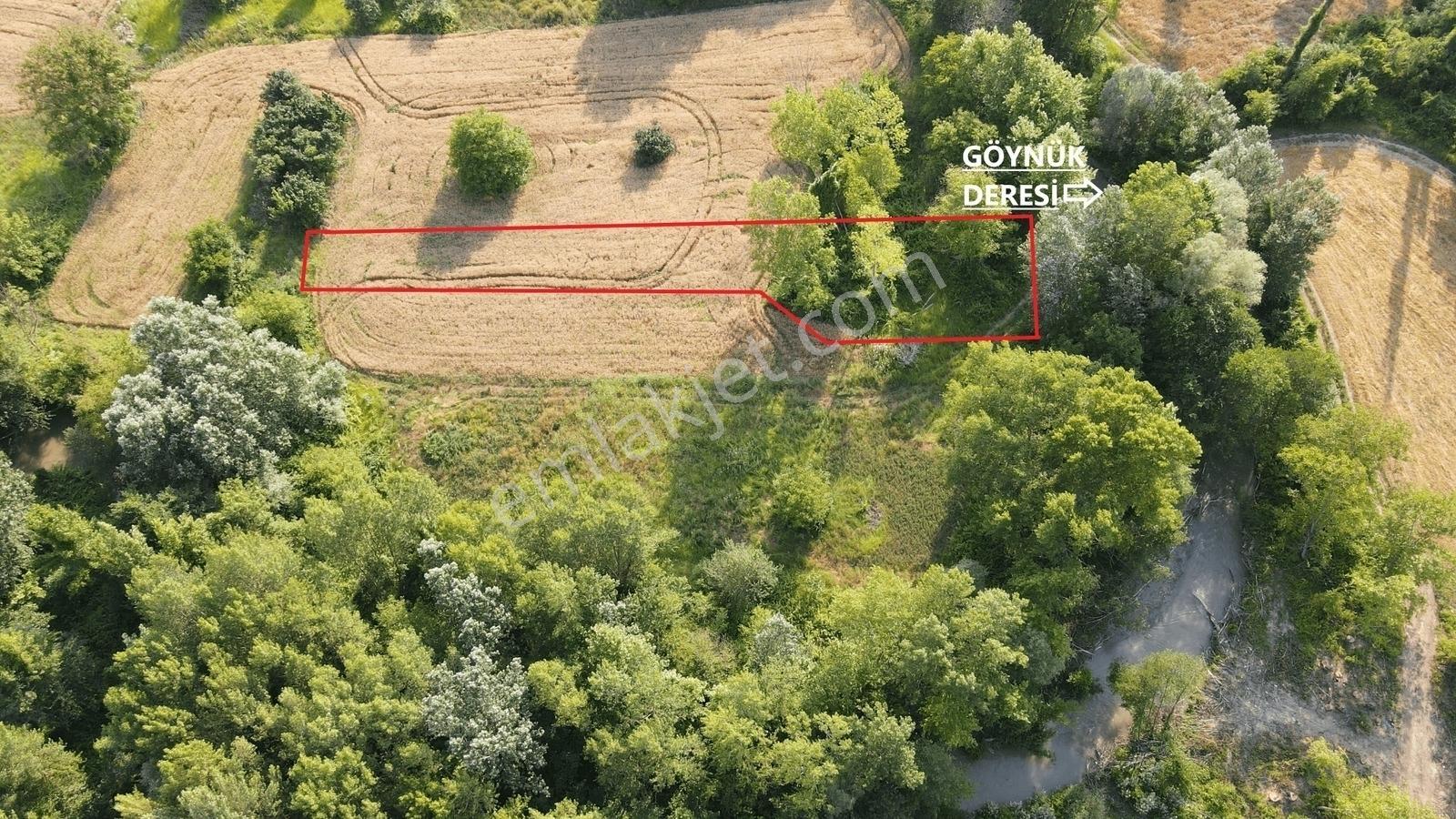 Gölpazarı'da Geyve Göynük Deresine Sınır 992 M2 Yatırımlık Tarla — fotoğraf 2