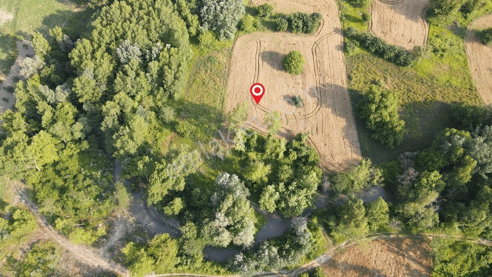 Gölpazarı'da Geyve Göynük Deresine Sınır 992 M2 Yatırımlık Tarla — fotoğraf 3