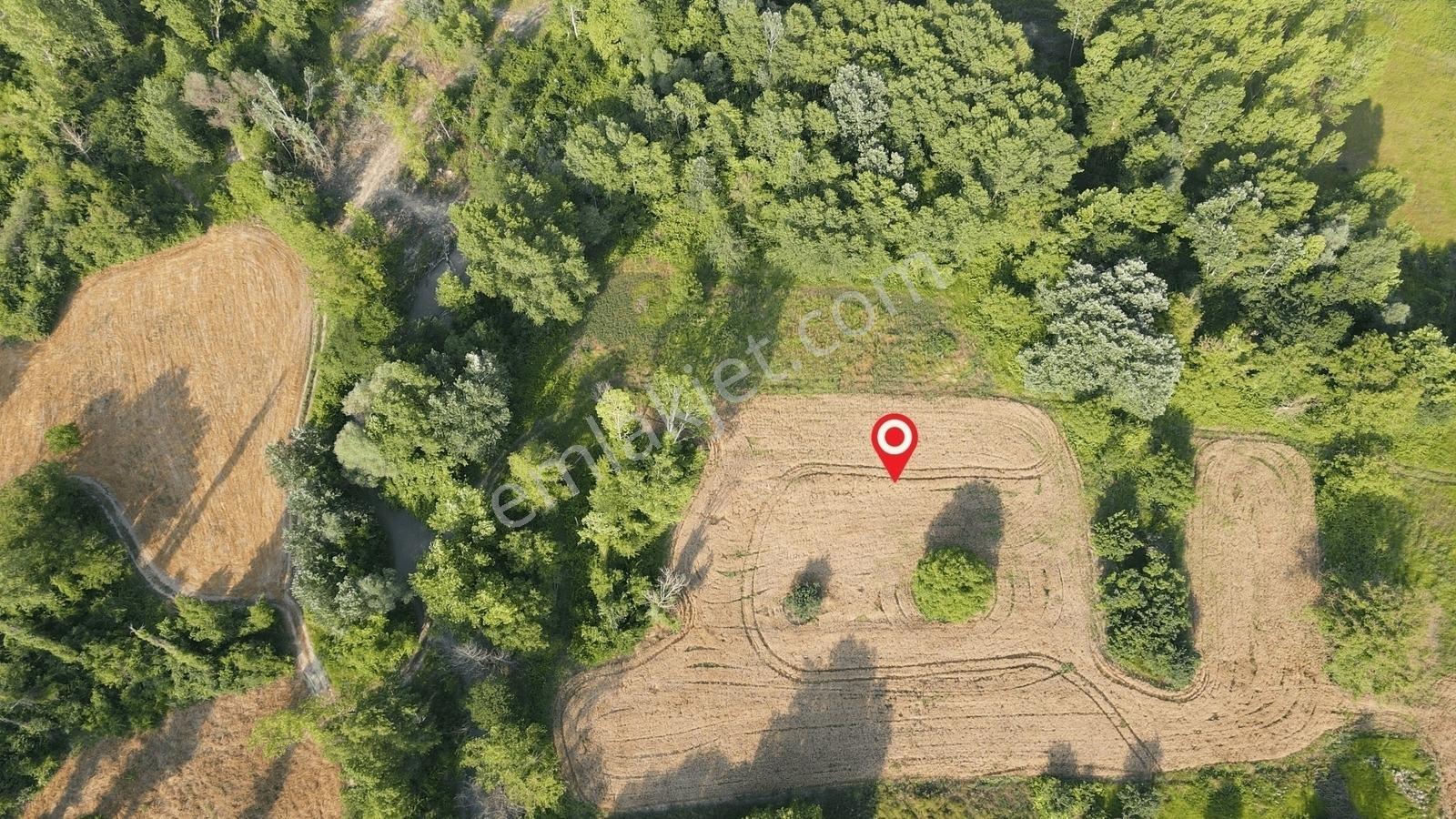 Gölpazarı'da Geyve Göynük Deresine Sınır 992 M2 Yatırımlık Tarla — fotoğraf 4