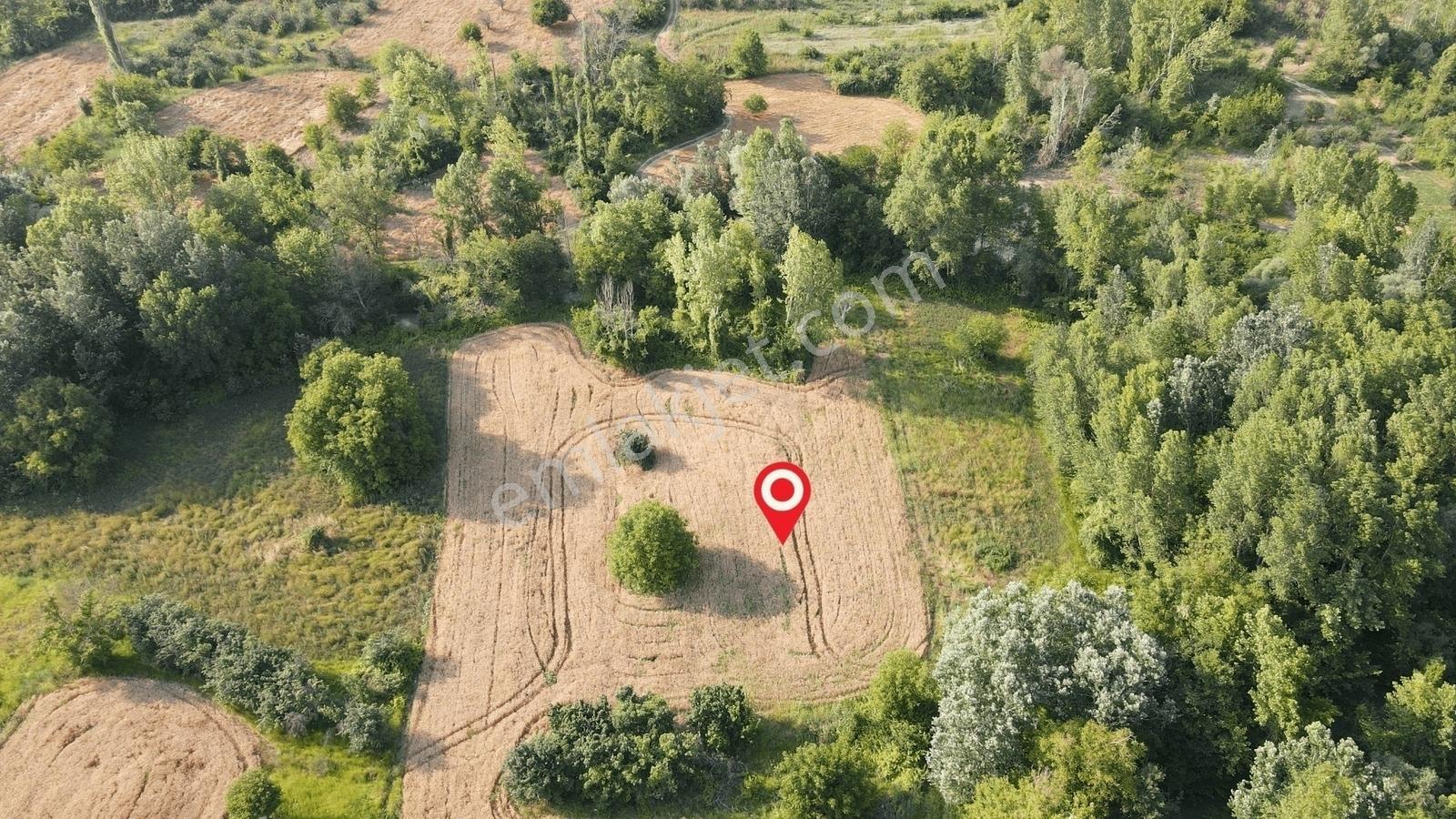 Gölpazarı'da Geyve Göynük Deresine Sınır 992 M2 Yatırımlık Tarla — fotoğraf 6