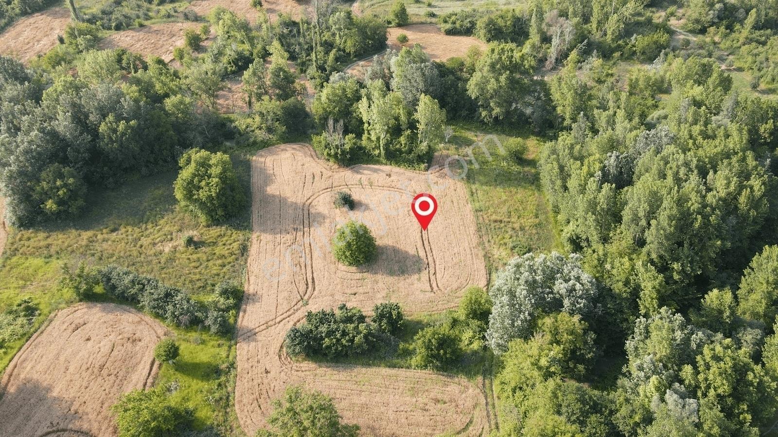 Gölpazarı'da Geyve Göynük Deresine Sınır 992 M2 Yatırımlık Tarla — fotoğraf 7