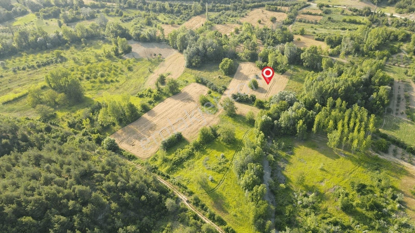Gölpazarı'da Geyve Göynük Deresine Sınır 992 M2 Yatırımlık Tarla — fotoğraf 8