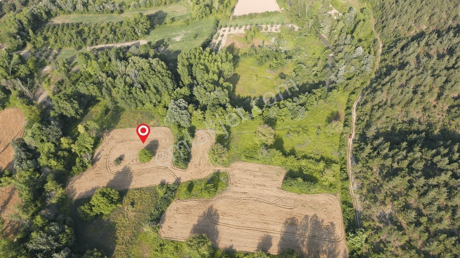 Gölpazarı'da Geyve Göynük Deresine Sınır 992 M2 Yatırımlık Tarla — fotoğraf 10