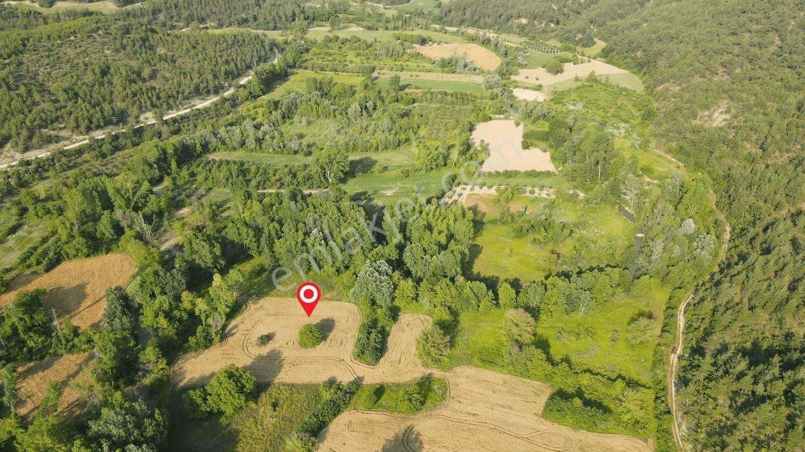 Gölpazarı'da Geyve Göynük Deresine Sınır 992 M2 Yatırımlık Tarla — fotoğraf 11
