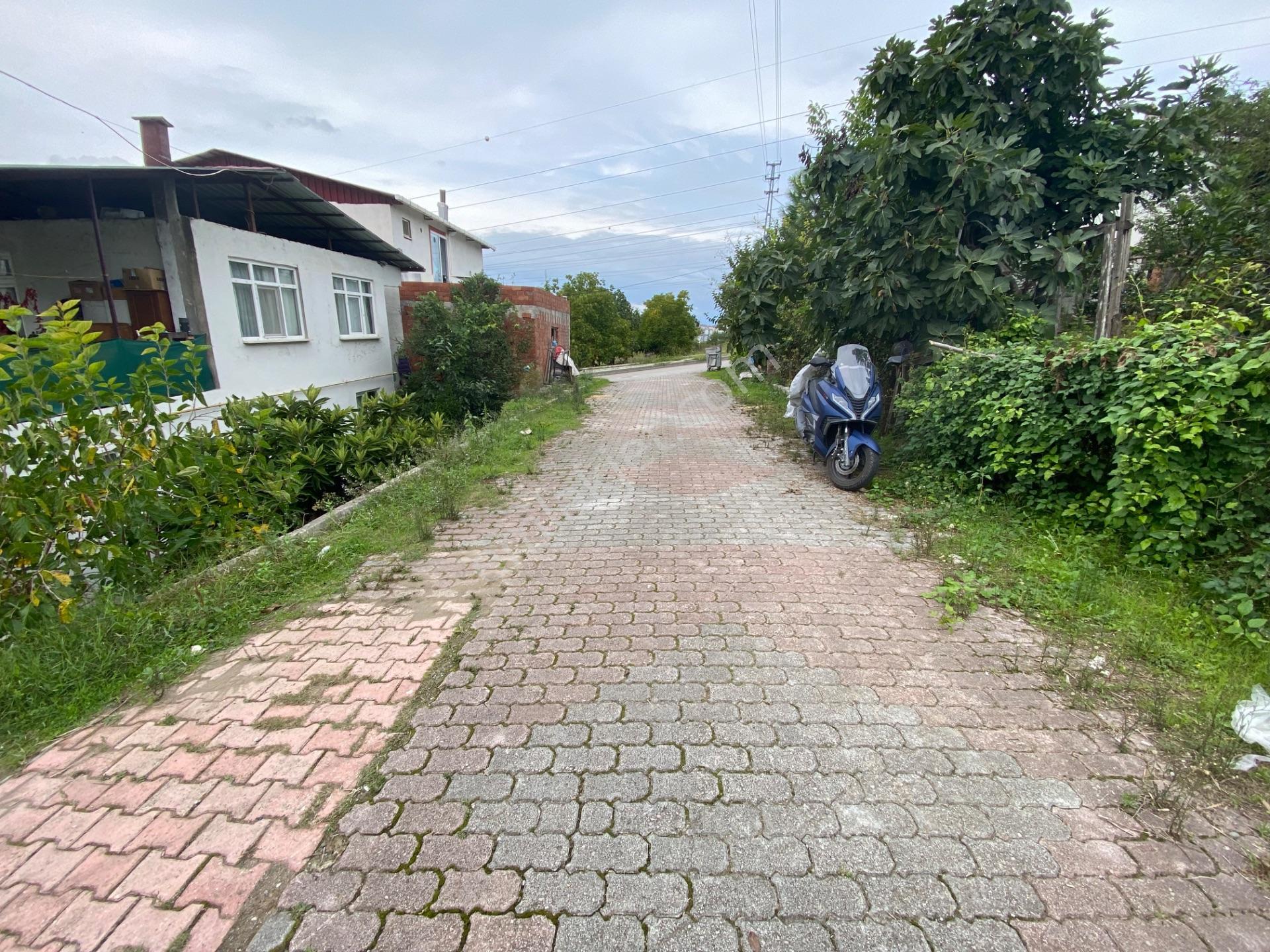 Furkan Emlak’tan Canik Hacı İsmail Mah.386m2 Tek Tapu Arsa — fotoğraf 2