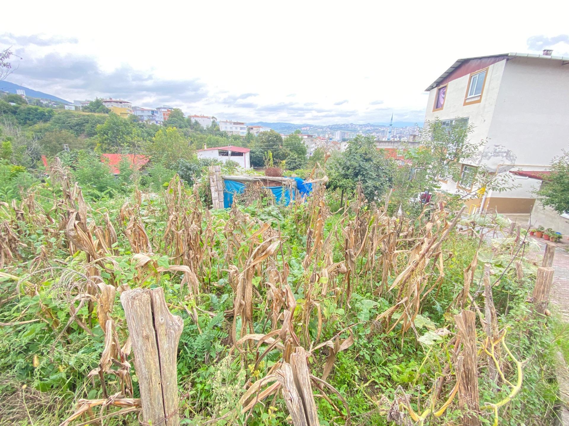 Furkan Emlak’tan Canik Hacı İsmail Mah.386m2 Tek Tapu Arsa — fotoğraf 9