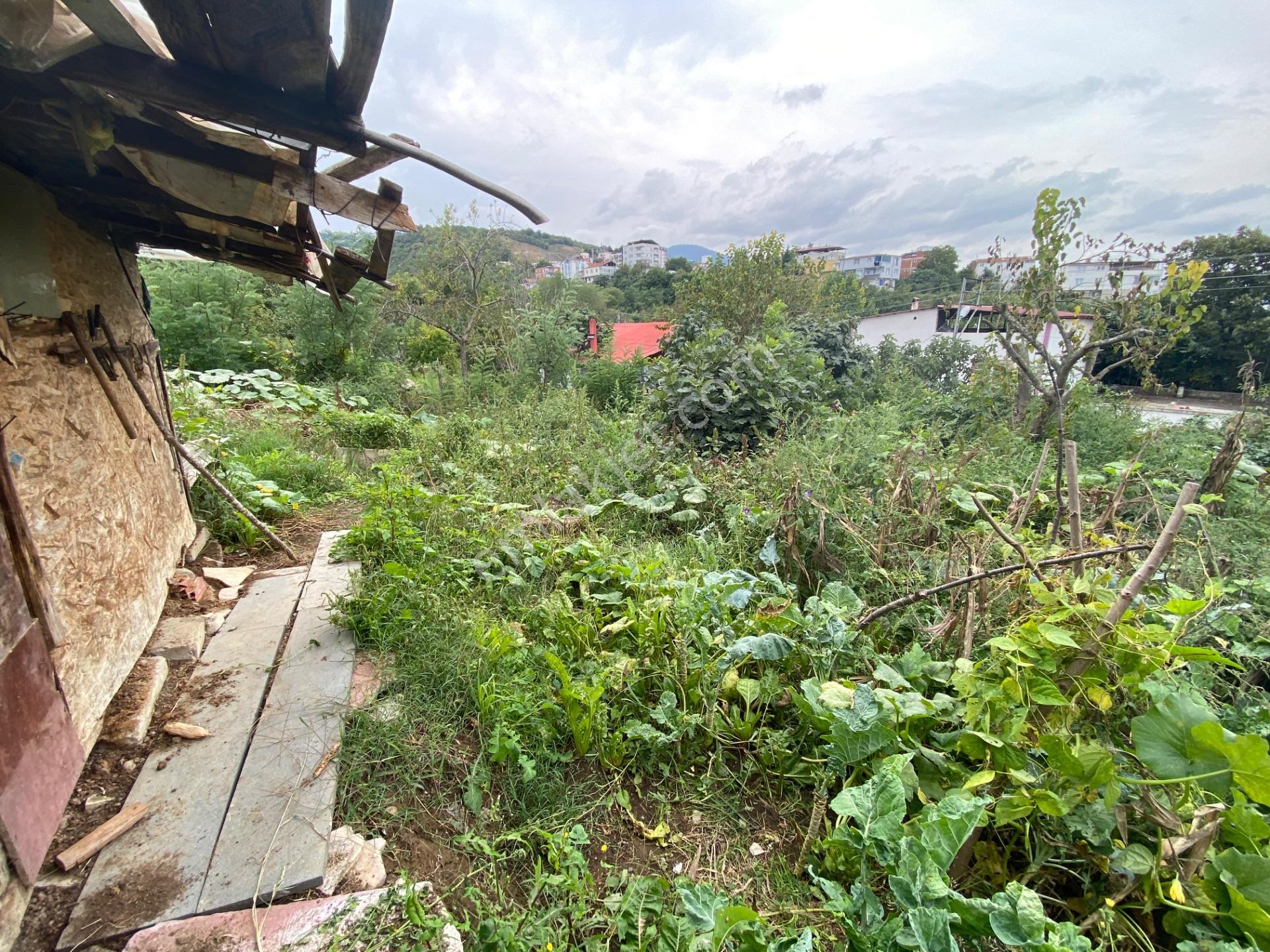 Furkan Emlak’tan Canik Hacı İsmail Mah.386m2 Tek Tapu Arsa — fotoğraf 11