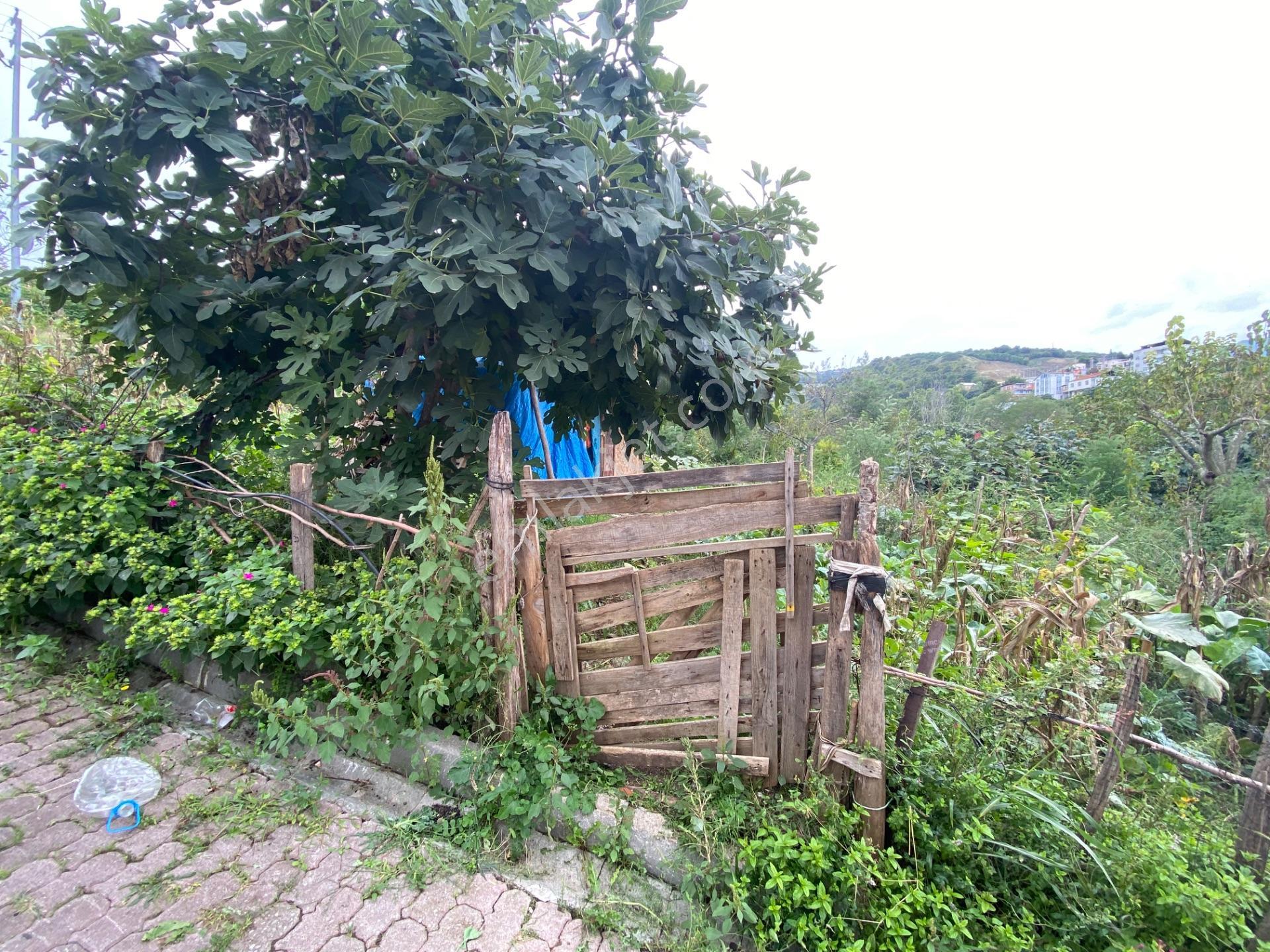Furkan Emlak’tan Canik Hacı İsmail Mah.386m2 Tek Tapu Arsa — fotoğraf 12